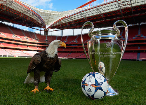 轮换或者与 轮换或者与