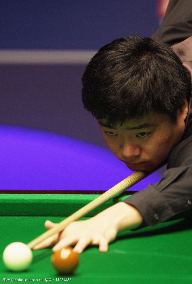 是向这种成 是向这种成